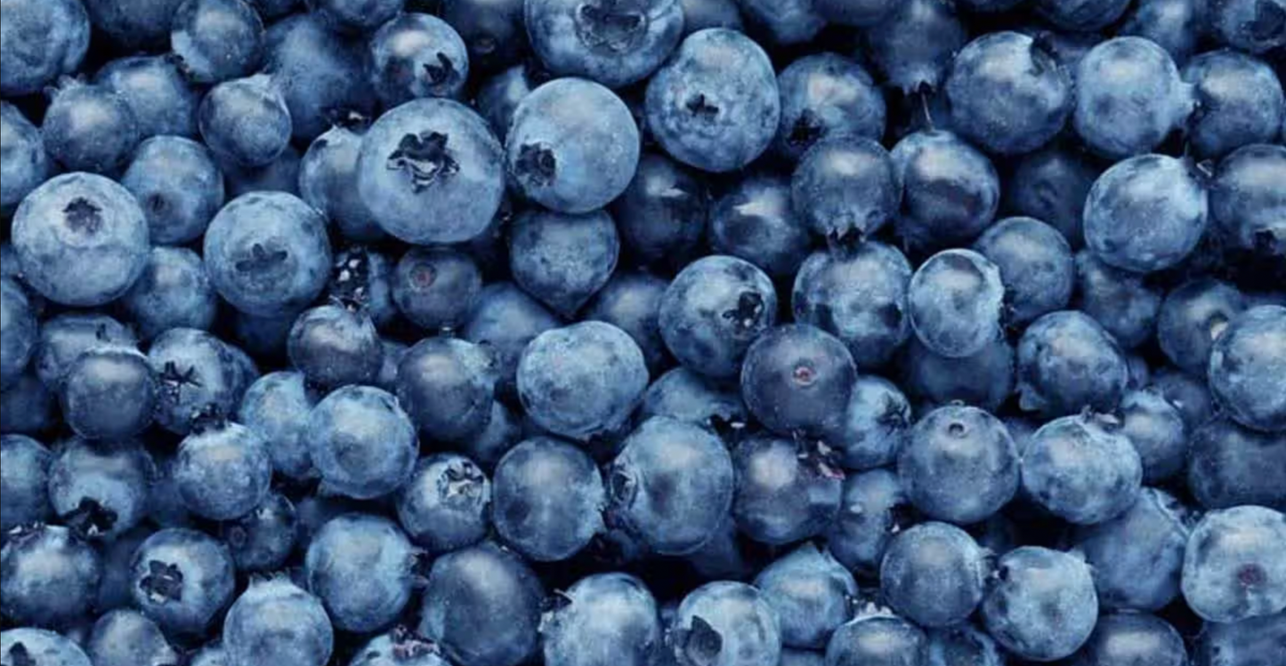 Blueberries (Click&Collect from King St only)